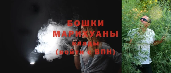 гашик Верея