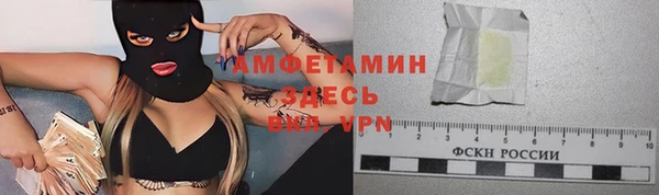 гашик Верея