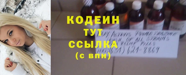 гашик Верея
