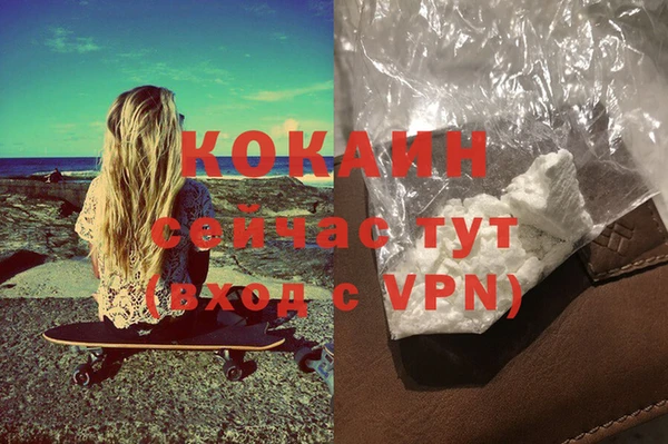 гашик Верея