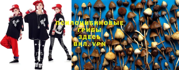 гашик Верея
