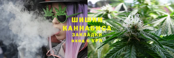 гашик Верея