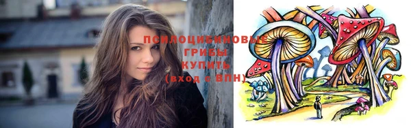 наркотики Бородино