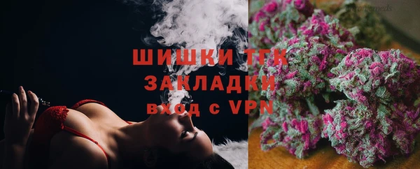 гашик Верея