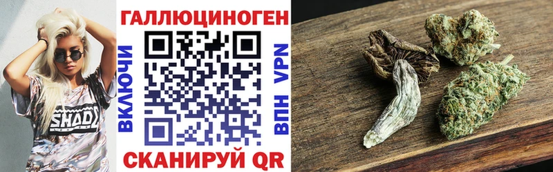 где можно купить   Холмск  Псилоцибиновые грибы ЛСД 