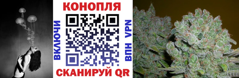 купить   Холмск  Канабис SATIVA & INDICA 